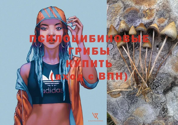 a pvp Липки