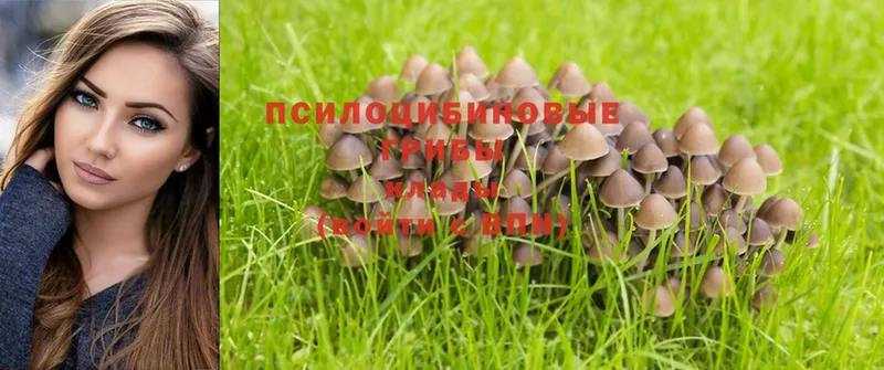 Галлюциногенные грибы MAGIC MUSHROOMS  Черкесск 