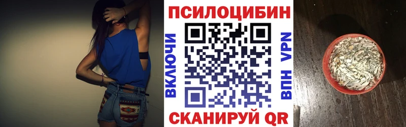 Псилоцибиновые грибы GOLDEN TEACHER  МЕГА ссылки  Черкесск 
