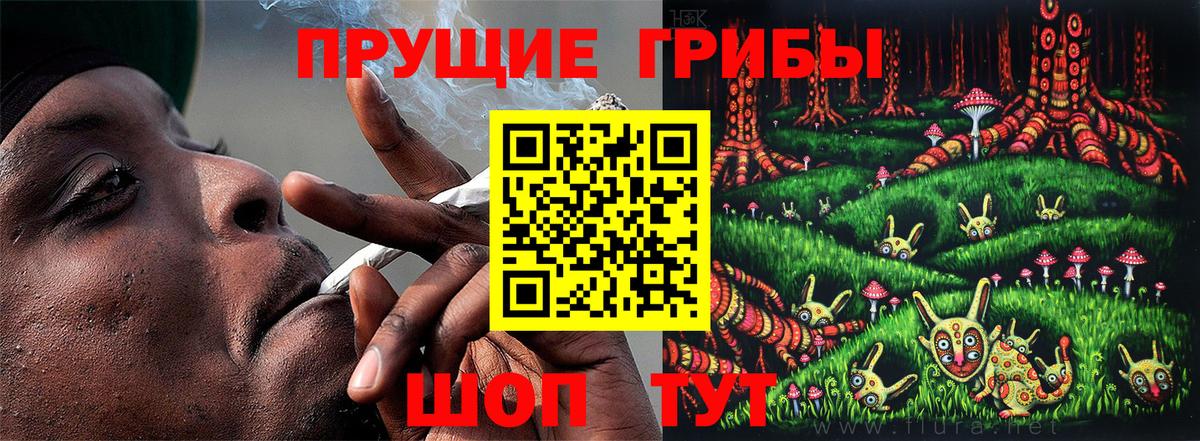 Черкесск  Псилоцибиновые грибы мухоморы  Галлюциногенные грибы Cubensis  Вход с VPN 